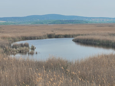 Sarvajc-kereszt és kilátó — fotografia 3