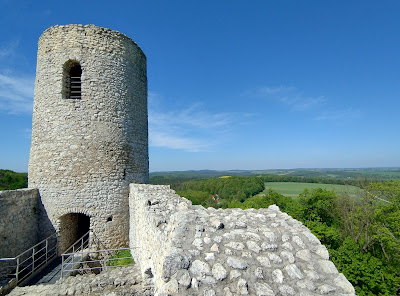 Pilcza Castle — fotografia 3