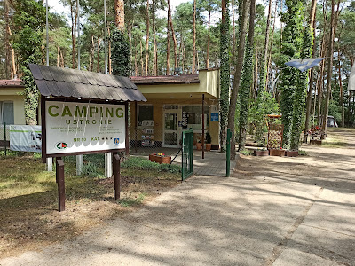 MOSiR w Wolsztynie - Camping nr 50 "Ustronie" w Karpicku — fotografia 5