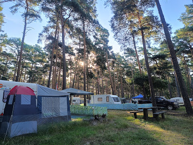 Forest camping - Sosenka — fotografia 4