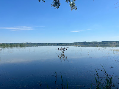 Gruža Lake — fotografia 4