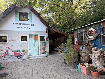 Aranykárász