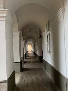 Catedrala Romano-Catolică — fotografia 5