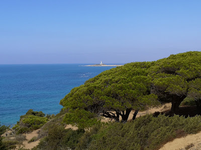 Mirador Torre del Tajo - Medio Ambiente — fotografia 5
