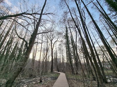 Mountain Park — fotografia 5