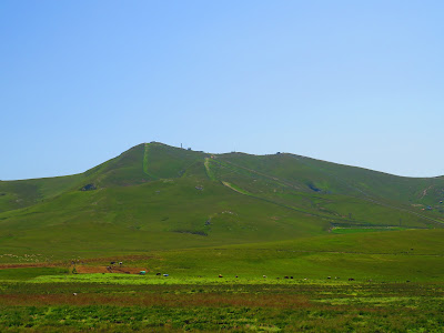 Plaiul lui Păcală