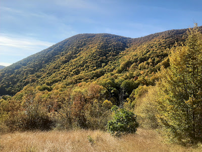 Platoul Coronini — fotografia 3