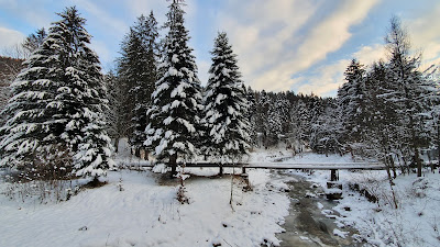 Cascada Slanic - Punte — fotografia 3