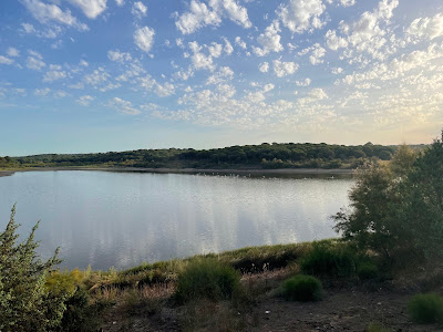 Laguna de El Portil