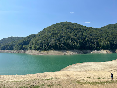 Paltinu