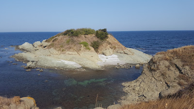 Arapya Beach — fotografia 4