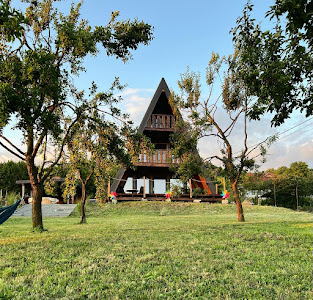 Cabana din Vie