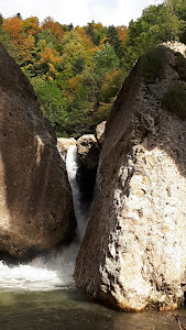 Cascada Căprioara