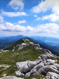Plješivica