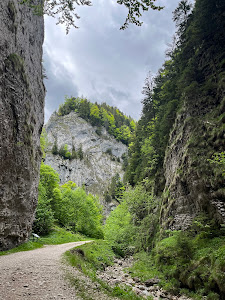 Prăpăstiile Zărneștiului — fotografia 5