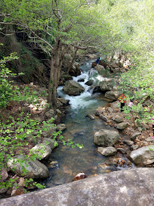 Sendero Rio De La Miel — fotografia 5