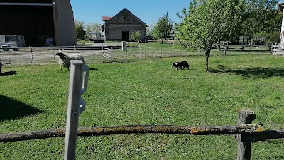 Fertő-Hanság Nemzeti Park - Lászlómajor - Bemutató Majorság — fotografia 2