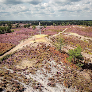 Uitkijktoren De Afferdense Duinen — fotografia 3