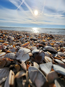Monster Beach — fotografia 4