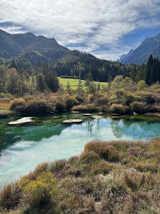 Zelenci — fotografia 3