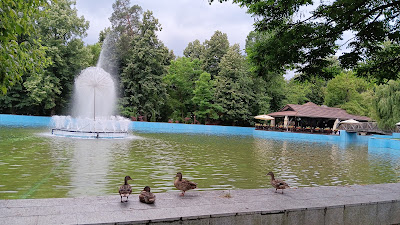 Parcul Zăvoi — fotografia 5