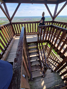 Observation tower Cow Mountain — fotografia 4