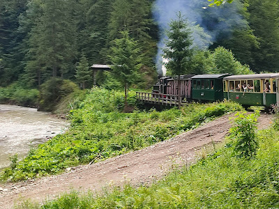 Staţia Paltin CFF Mocăniță — fotografia 3