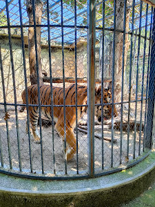 Haskovo Zoo — fotografia 3
