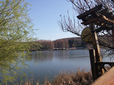 Bistro "Lake" — fotografia 4