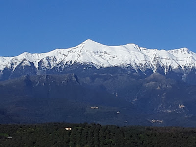 Taygetus