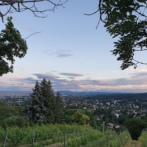 Bellevuewiese — fotografia 5