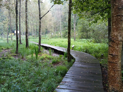 Leśne Arboretum Warmii i Mazur — fotografia 5