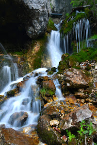 Sapte Izvoare — fotografia 3