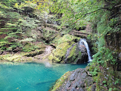 Zeleni Vir, water spring — fotografia 5