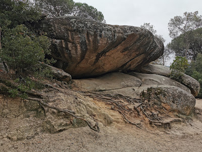 Ruta prehistòrica 2 — fotografia 3