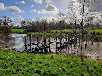 Kuzemerkooi natuurgebied
