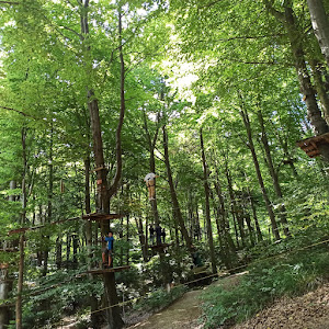 Parc Aventura Brașov — fotografia 4