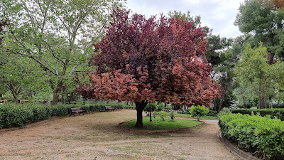 Mavromichali park