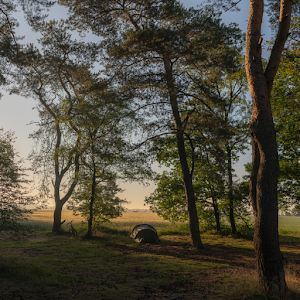 Natuurcamping Quadenoord — fotografia 5