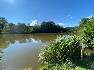 Fischerparadies Nebelteich — fotografia 3