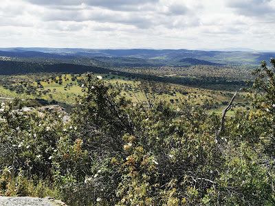 Sierra Grande de Hornachos — fotografia 4