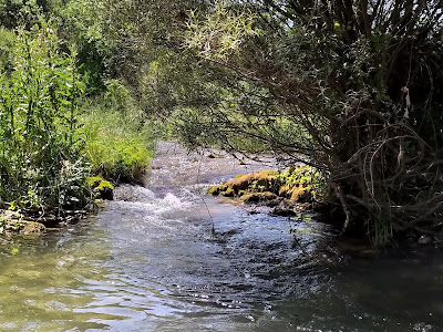 Ruta por el río Guadalquivir — fotografia 4
