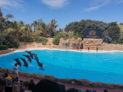Loro Parque — fotografia 3