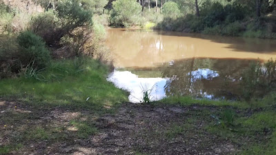 Laguna de El Portil — fotografia 2