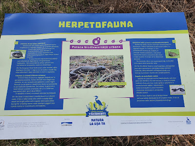 Parcul Natural Văcărești — fotografia 5