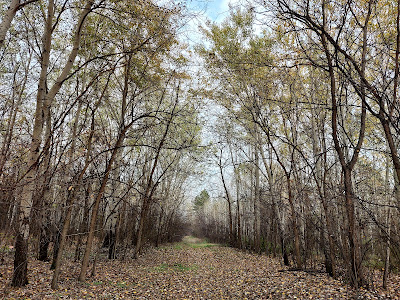 Subotica Sands — fotografia 4