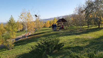 Parcul Municipal Moinești — fotografia 4