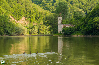Lacul Cinciș — fotografia 5