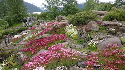 Arctic–Alpine Botanic Garden — fotografia 5