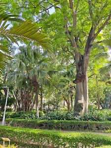 Málaga Park — fotografia 4
